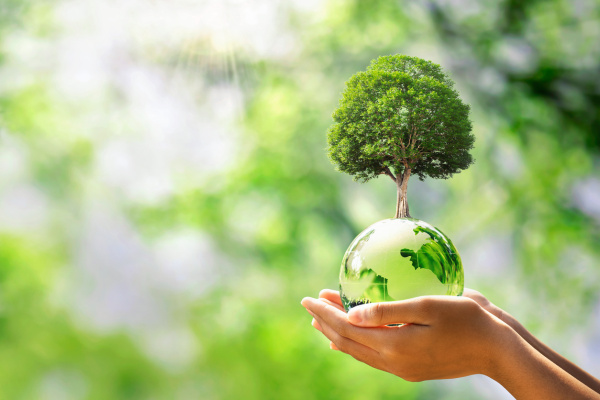 hand holding glass globe ball with tree growing and green nature blur background. eco concept hand holding glass globe ball with tree growing and green nature blur background. eco concept
