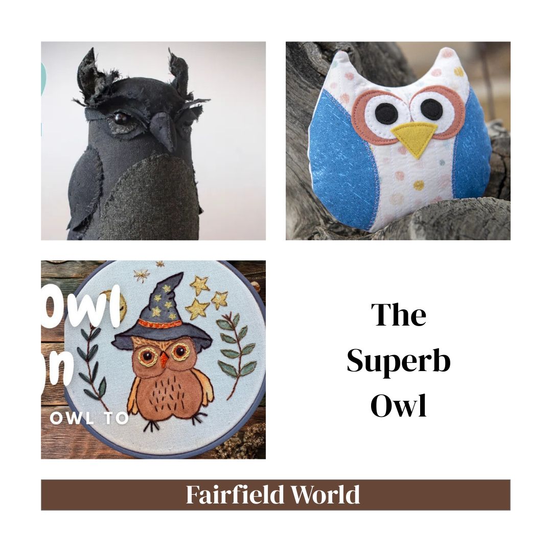the superb owl