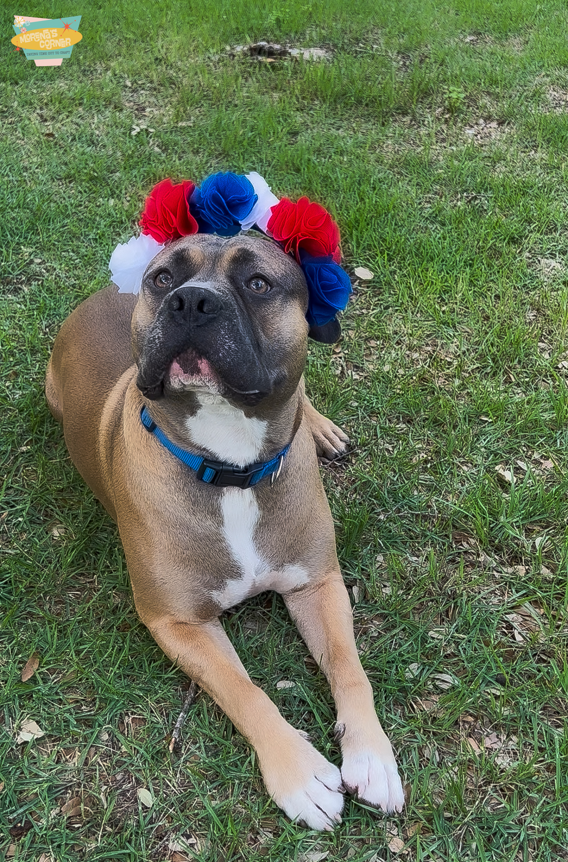 Star Spangled Headwear: Oly-Fun Fabric Flowers